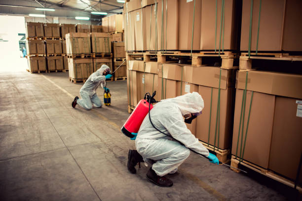 Best Emergency Pest Control  in Norton, KS