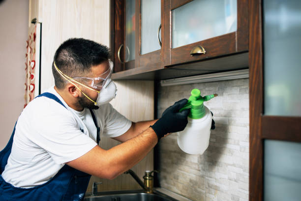 Best Pest Prevention Services  in Norton, KS