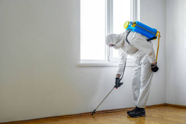 Best Residential Pest Control  in Norton, KS