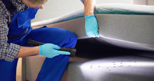 Best Pest Prevention Services  in Norton, KS