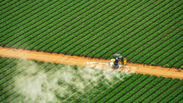 Best Mosquito Control Services  in Norton, KS
