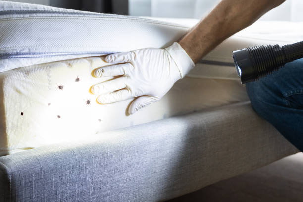 Best Pest Removal Services  in Norton, KS
