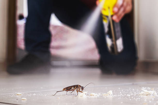 Pest Control for Restaurants in Norton, KS