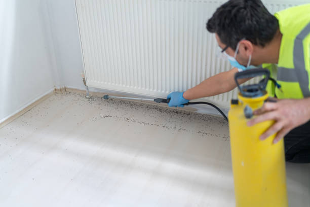 Reliable Norton, KS Pest Control Solutions