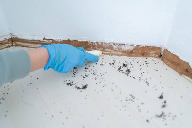 Best Exterminator Services  in Norton, KS